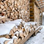 Frugalwoods Announces Strategic Pivot Toward Reader-Centric Content and Launches Annual Financial Challenge After Sabbatical