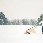 Get Wild: How Being Outdoors (Even in Winter) Can Improve Your Health and Happiness