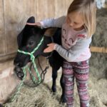 Teaching Children Financial Literacy Through Experiential Learning and Family Economic Frameworks