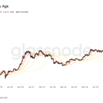 The Long-Term Investor’s Golden Rule: Bitcoin Rewards Patience with Near-Certain Profitability