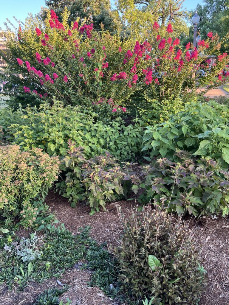 Financial Crisis in Rural Education: A Case Study of Debt and Undercompensation for Illinois Educators