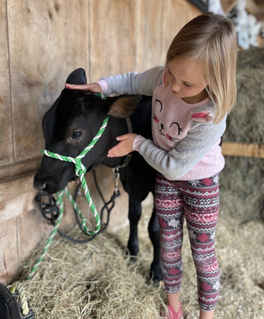 Financial Literacy for the Next Generation: A Case Study in Vermont Household Economic Education