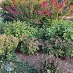 Financial Strategies for Educators A Case Study in Debt Management and Career Transition in Rural Illinois