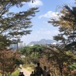 Financial Strategies for Expatriate Repatriation and the Economics of Transitional Wealth Management