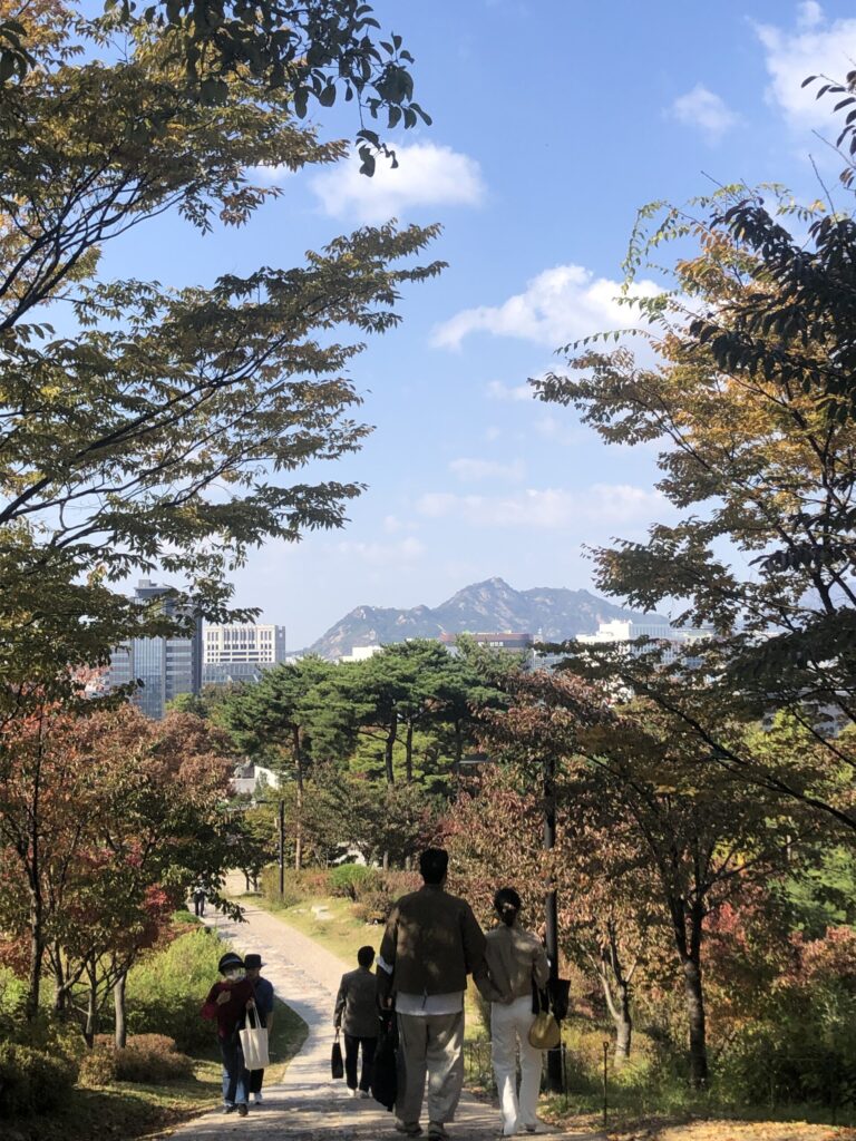 Financial Strategy for Transpacific Repatriation A Comprehensive Analysis of US Expats Preparing for Return from Vietnam