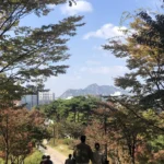 Financial Transition Strategies for American Educators Abroad A Case Study of Repatriation and Real Estate