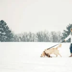 Get Wild: How Being Outdoors (Even in Winter) Can Improve Your Health and Happiness