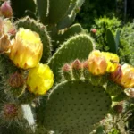 Global Fintech Innovations Surge with AI Advancements and Strategic Market Expansions Across Banking Wealth and Payments Sectors