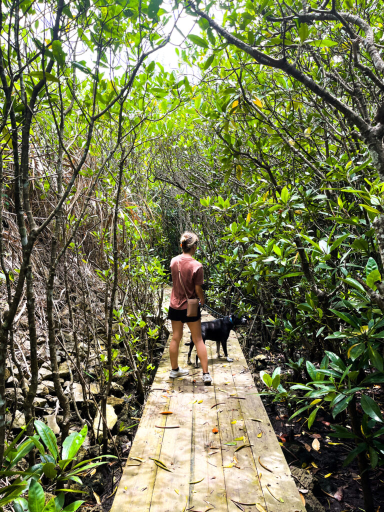 Navigating the Path to Early Retirement: A Comprehensive Financial Analysis of a US Military Household in Okinawa