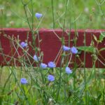 Quavo Fraud and Disputes Partners with Apple Federal Credit Union to Revolutionize Dispute Management and Enhance Member Experience