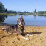 Reader Case Study: Plasterer and Social Worker in Manitoba Plan for a Baby – Frugalwoods