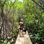 Strategic Financial Planning and the Path to Early Retirement for U.S. Military Personnel Stationed in Okinawa Japan