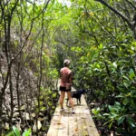 Strategic Financial Planning for Military Transition A Case Study of US Marine Corps Leadership in Okinawa