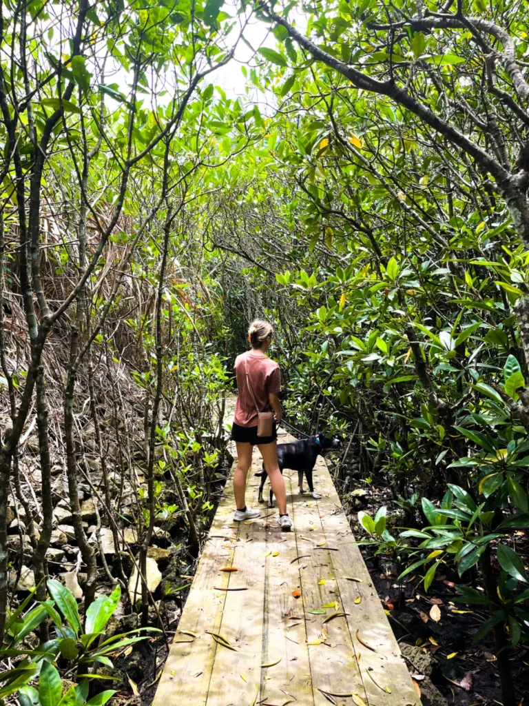 Strategic Financial Planning for Military Transition A Case Study of US Marine Corps Leadership in Okinawa