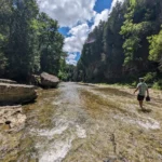 The AI-Driven Market Surge: Navigating Unprecedented Valuations and Future Economic Shifts