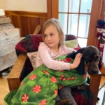 The Financial and Emotional Realities of Pet Rescue: A Case Study in Canine Separation Anxiety and Rehoming