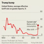 The Unpredictable Rollercoaster of Tariffs: Navigating Economic Volatility and Global Trade Battles