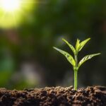 Tiny Habits That Deliver Big Changes