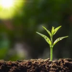 Tiny Habits That Deliver Big Changes