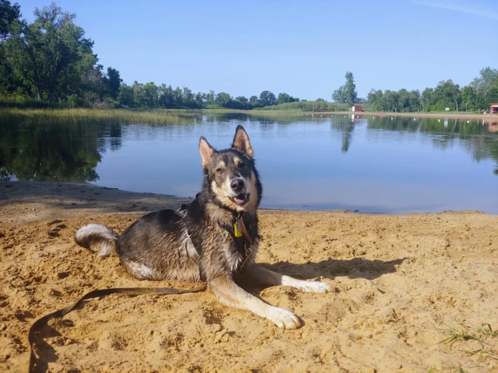Financial Strategy for Mid-Career Transitions and Family Planning in the Canadian Prairie Region: A Case Study of Winnipeg Household Management